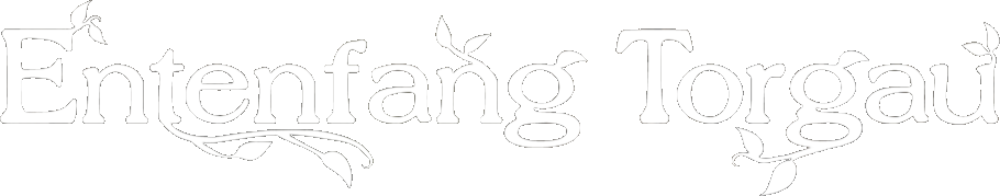 Entenfang Torgau